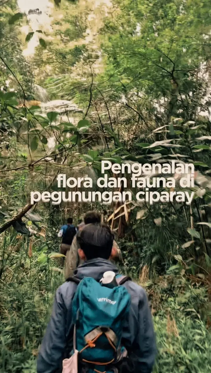Artikel KKN Universitas Al Ghifari: Mencari Flora dan Fauna di Kawasan Hutan Sekitar