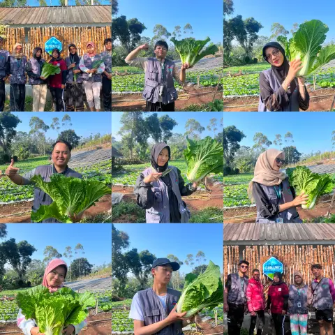 Artikel KKN UNFARI: Hari Keenam KKN Kelompok 27: Edukasi Agribisnis Lapangan dan Silaturahmi Erat Bersama Tokoh RW 11 dari Kelompok klmpk-27