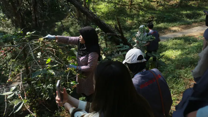 Artikel KKN Universitas Al Ghifari: KKN Kelompok 11 Universitas Al Ghifari Kunjungi Kebun Kopi dan UMKM Pengolahan Kopi